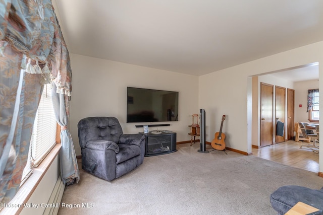 16 Fording Place Rd, Lake Katrine, NY 12449 - view of carpeted living room