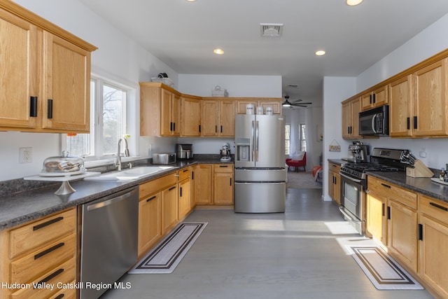 kitchen featuring ceiling fan, light hardwood / wood-style floors, sink, and stainless steel appliances