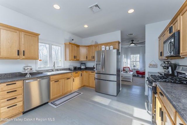 kitchen featuring plenty of natural light, ceiling fan, sink, and stainless steel appliances