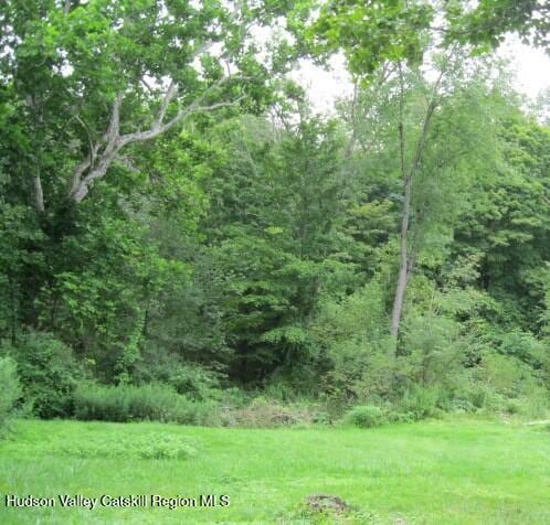 1896 County Rte 9, Chatham, NY 12037 - view of woods