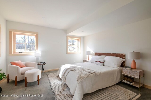 view of carpeted bedroom