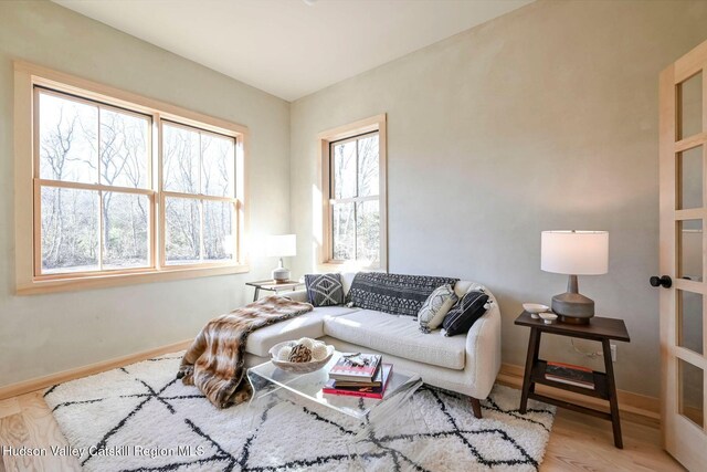 living room featuring hardwood / wood-style flooring and a healthy amount of sunlight