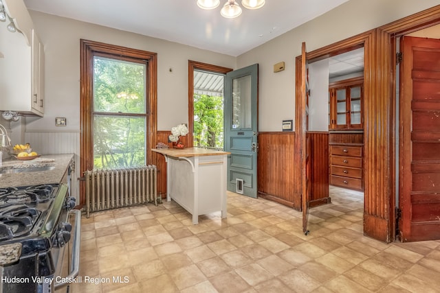 50 Spring St, Kingston, NY 12401 - photo 34