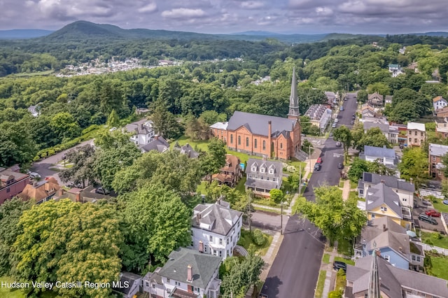50 Spring St, Kingston, NY 12401 - photo 4