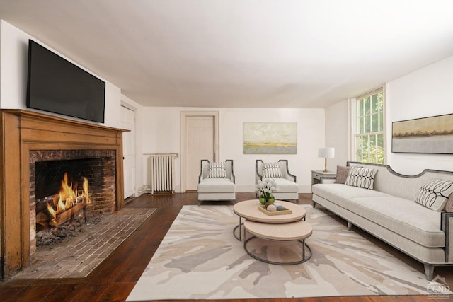75 Allhusen Rd, Plattekill, NY 12561 - living room featuring radiator heating unit, dark wood finished floors, and a fireplace