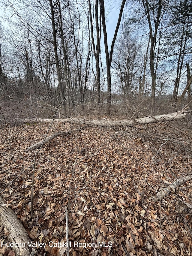 302 Union Center Rd, Ulster Park, NY 12487 - photo 8