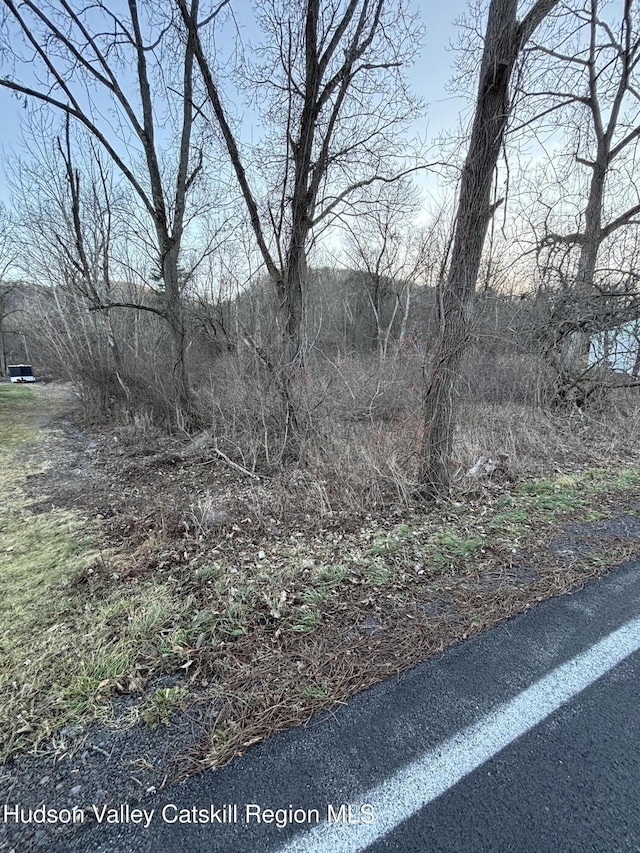 302 Union Center Rd, Ulster Park NY, 12487 land for sale