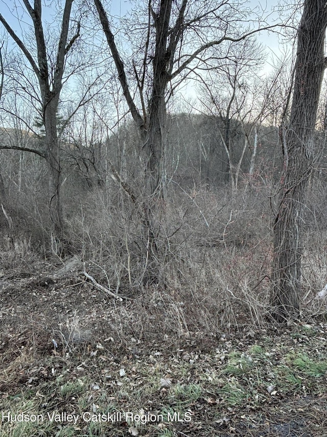 302 Union Center Rd, Ulster Park, NY 12487 - photo 2