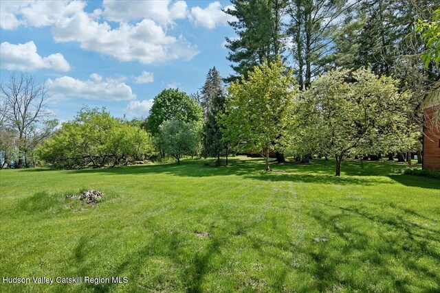 4930 State Route 81, Greenville, NY 12083 - view of grassy yard