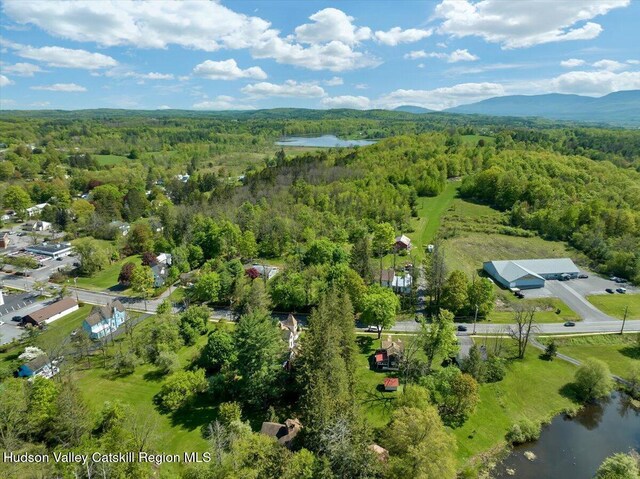 4930 State Route 81, Greenville, NY 12083 - aerial view of property and surrounding area featuring a heavily wooded area and a water and mountain view
