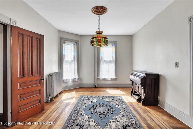 4930 State Route 81, Greenville, NY 12083 - entryway featuring radiator heating unit, baseboards, and light wood-style flooring