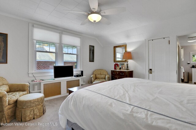 3 Finger St, Saugerties, NY 12477 - photo 16