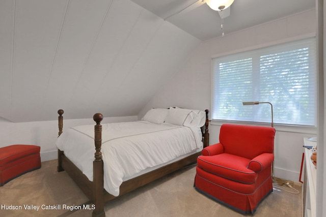 3 Finger St, Saugerties, NY 12477 - photo 19