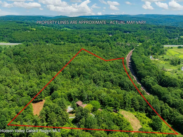340 Lower Cady Rd, Old Chatham, NY 12136 - aerial view of property and surrounding area featuring a forest and property parcel outlined