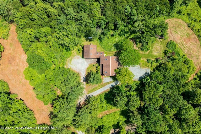 340 Lower Cady Rd, Old Chatham, NY 12136 - drone / aerial view of a heavily wooded area