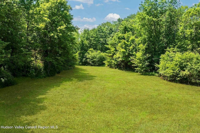 340 Lower Cady Rd, Old Chatham, NY 12136 - view of green lawn with a forest view