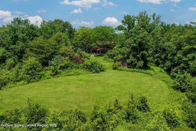 340 Lower Cady Rd, Old Chatham, NY 12136 - view of green lawn with a wooded view and an outdoor structure