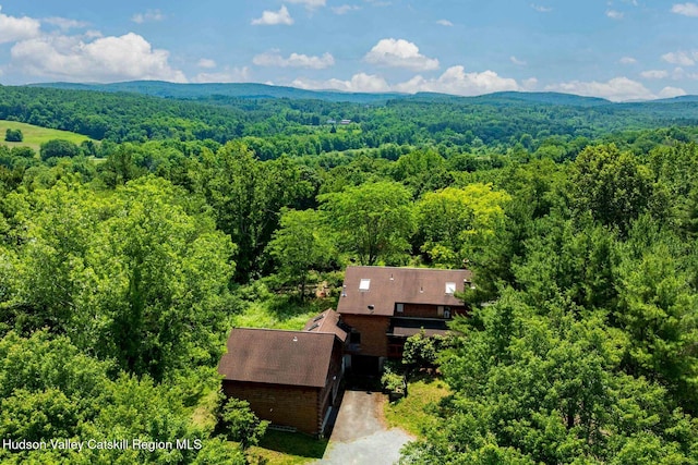 340 Lower Cady Rd, Old Chatham, NY 12136 - aerial view of property and surrounding area featuring a heavily wooded area
