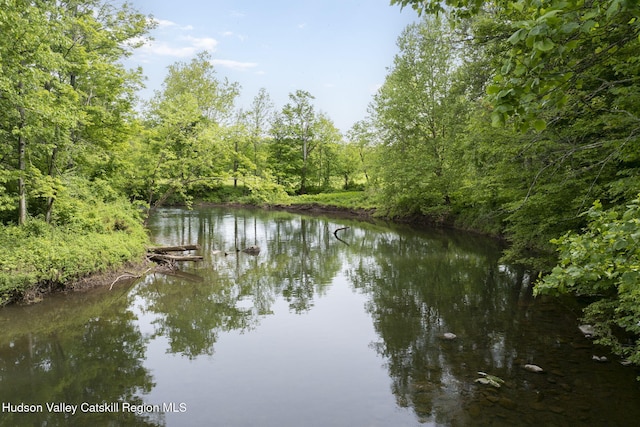 111 Ridgeway, Catskill, NY 12414 - water view featuring a forest