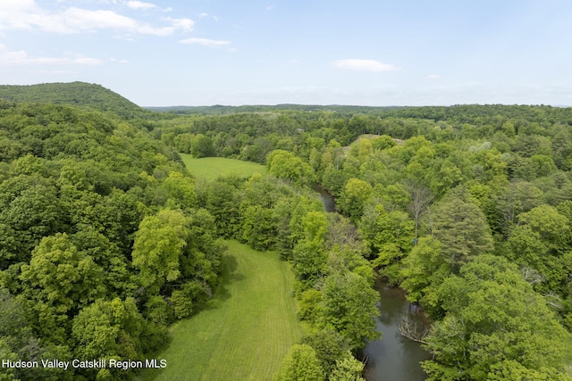 111 Ridgeway, Catskill, NY 12414 - bird's eye view of a forest and a large body of water