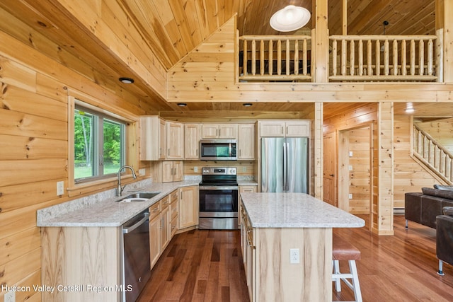 111 Ridgeway, Catskill, NY 12414 - kitchen with stainless steel appliances, a sink, wood ceiling, a center island, and light stone countertops