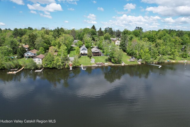 413 Sackett Lake Rd, Monticello, NY 12701 - photo 4