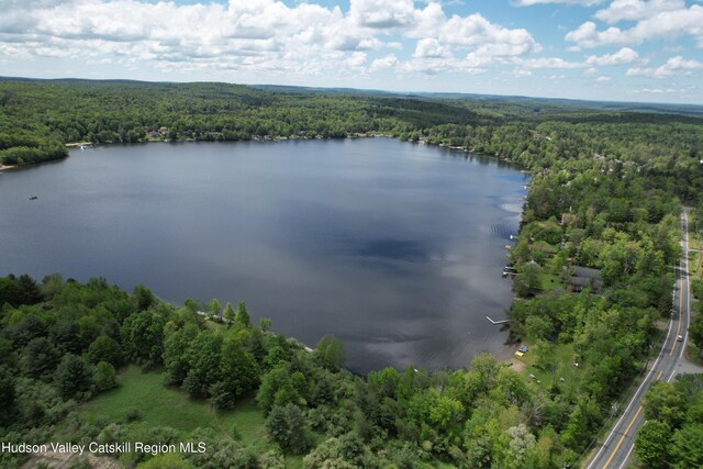 413 Sackett Lake Rd, Monticello, NY 12701 - photo 40