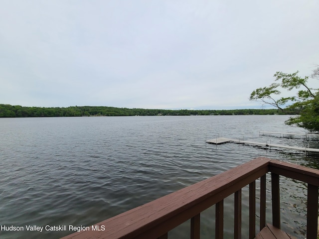 413 Sackett Lake Rd, Monticello, NY 12701 - photo 33