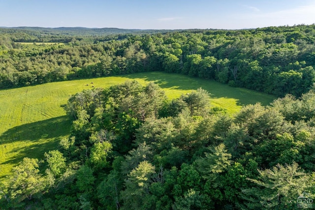 0 Cotter Rd, Chatham, NY 12037