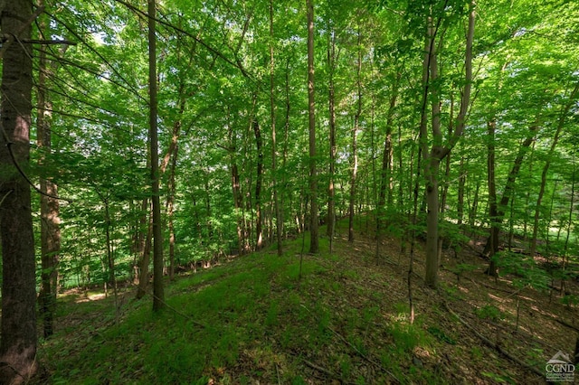 0 Cotter Rd, Chatham, NY 12037