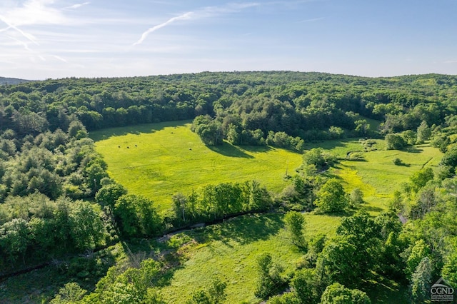 0 Cotter Rd, Chatham, NY 12037