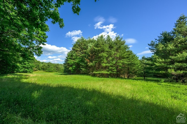0 Cotter Rd, Chatham, NY 12037