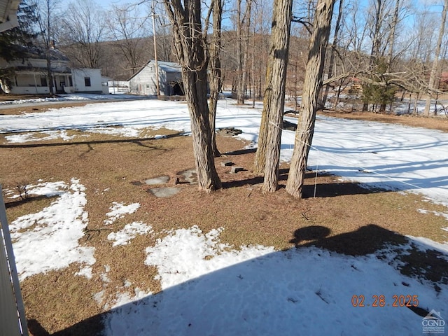 4700 Potter Hollow Rd, Preston Hollow, NY 12469 - view of yard covered in snow