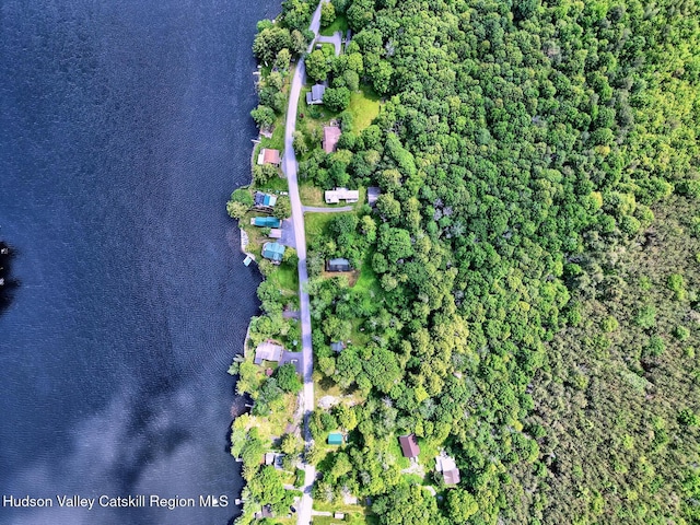 145 Lake Rd, Berne, NY 12023 - photo 65