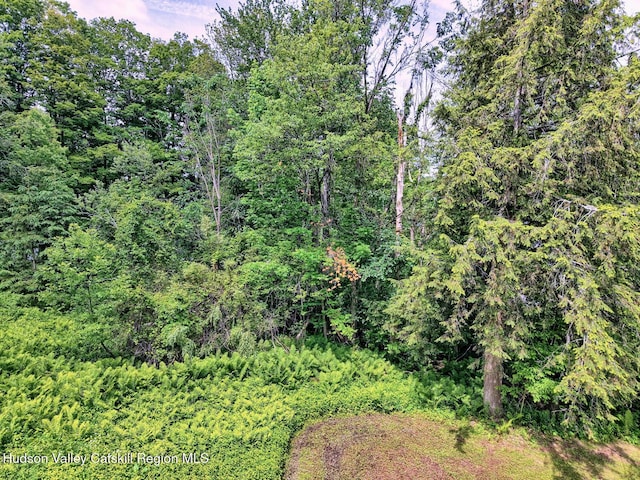 145 Lake Rd, Berne, NY 12023 - photo 61