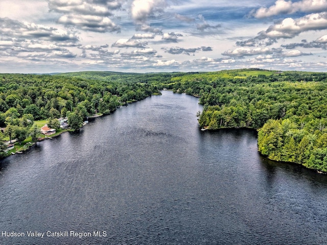 145 Lake Rd, Berne, NY 12023 - photo 27