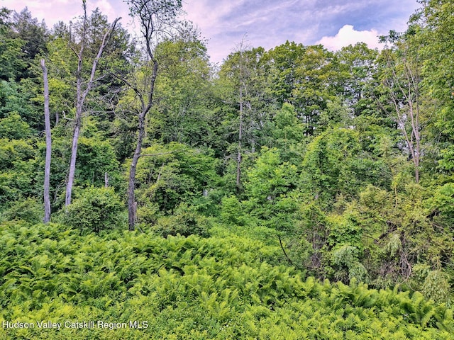 145 Lake Rd, Berne, NY 12023 - photo 60