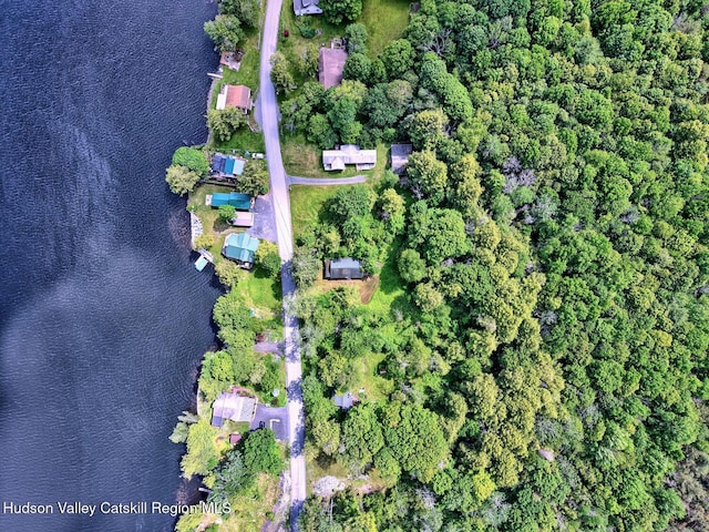 145 Lake Rd, Berne, NY 12023 - photo 18