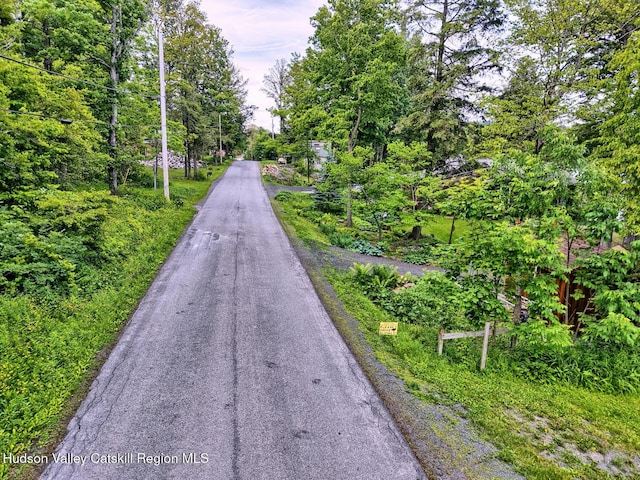 145 Lake Rd, Berne, NY 12023 - photo 63