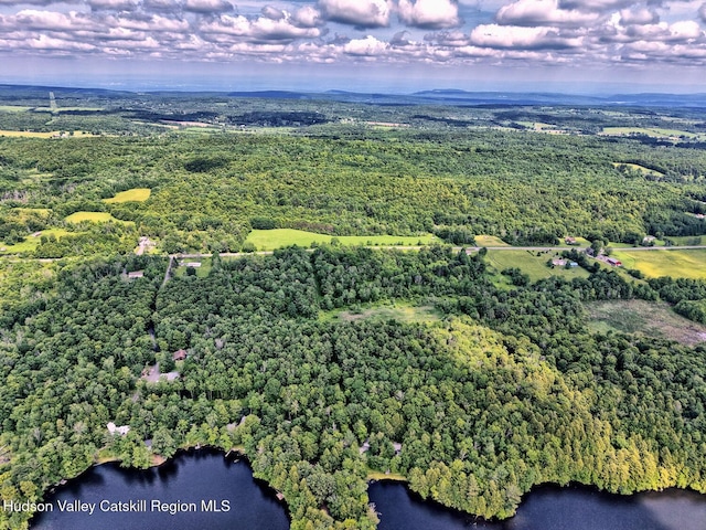 145 Lake Rd, Berne, NY 12023 - photo 24