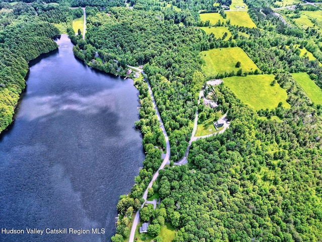 145 Lake Rd, Berne, NY 12023 - photo 19