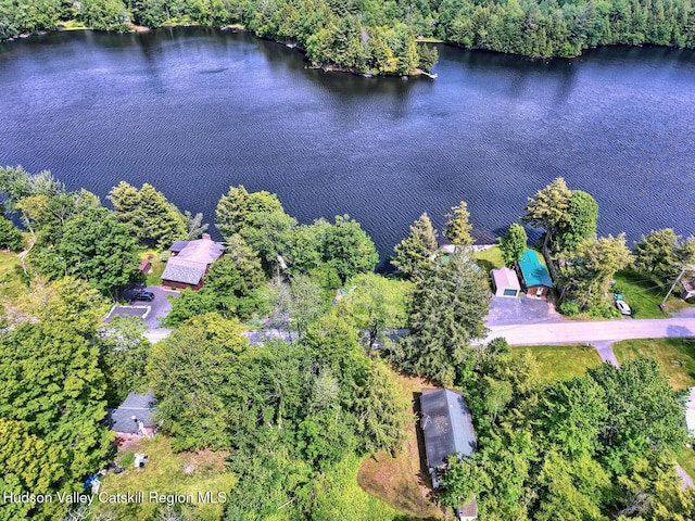 145 Lake Rd, Berne, NY 12023 - photo 26