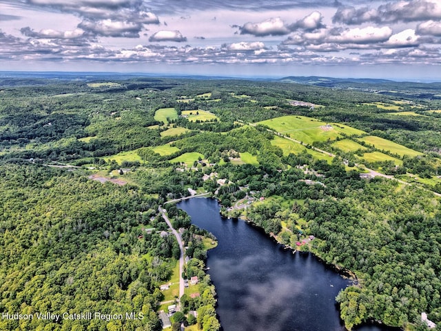 145 Lake Rd, Berne, NY 12023 - photo 22
