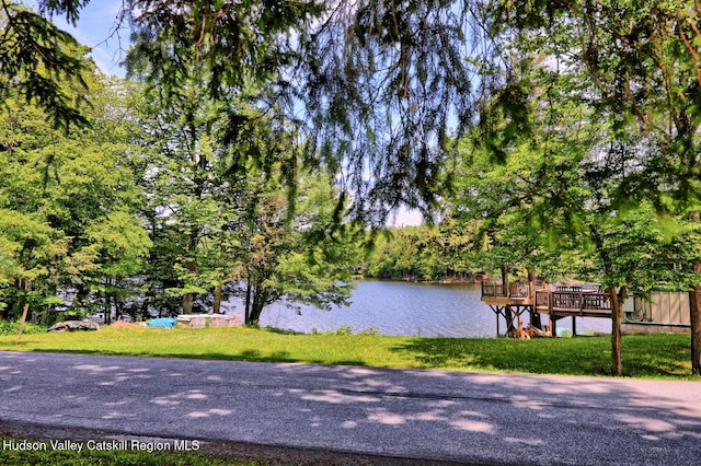 145 Lake Rd, Berne, NY 12023 - photo 57