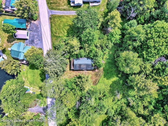 145 Lake Rd, Berne, NY 12023 - photo 16