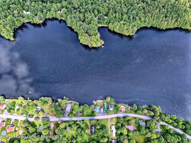 145 Lake Rd, Berne, NY 12023 - photo 20