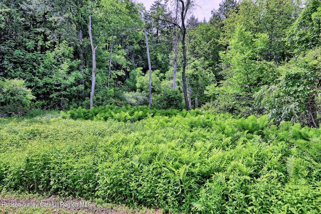 145 Lake Rd, Berne, NY 12023 - photo 58