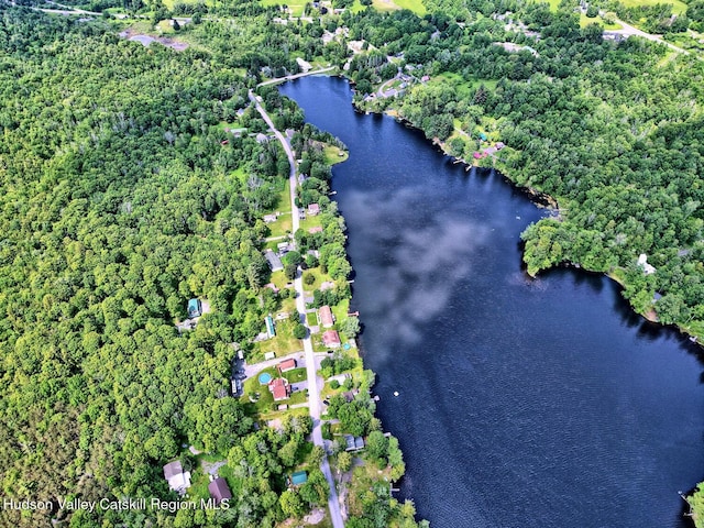 145 Lake Rd, Berne, NY 12023 - photo 21