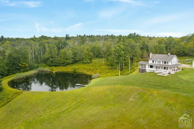 470 Harrington Dr, Austerlitz, NY 12017 - view from above of property featuring a forest and a nearby body of water