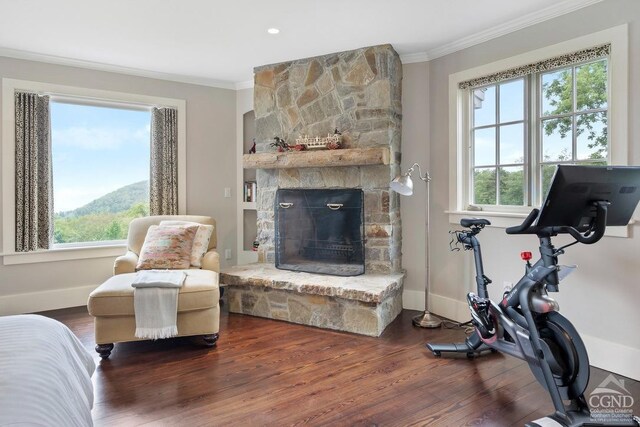 470 Harrington Dr, Austerlitz, NY 12017 - workout room featuring crown molding, wood finished floors, baseboards, and a fireplace